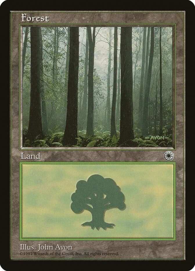 Forest (Ferns on Ground)