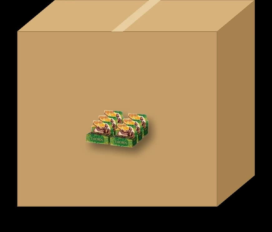 Theros - Booster Box Case (6 boxes)