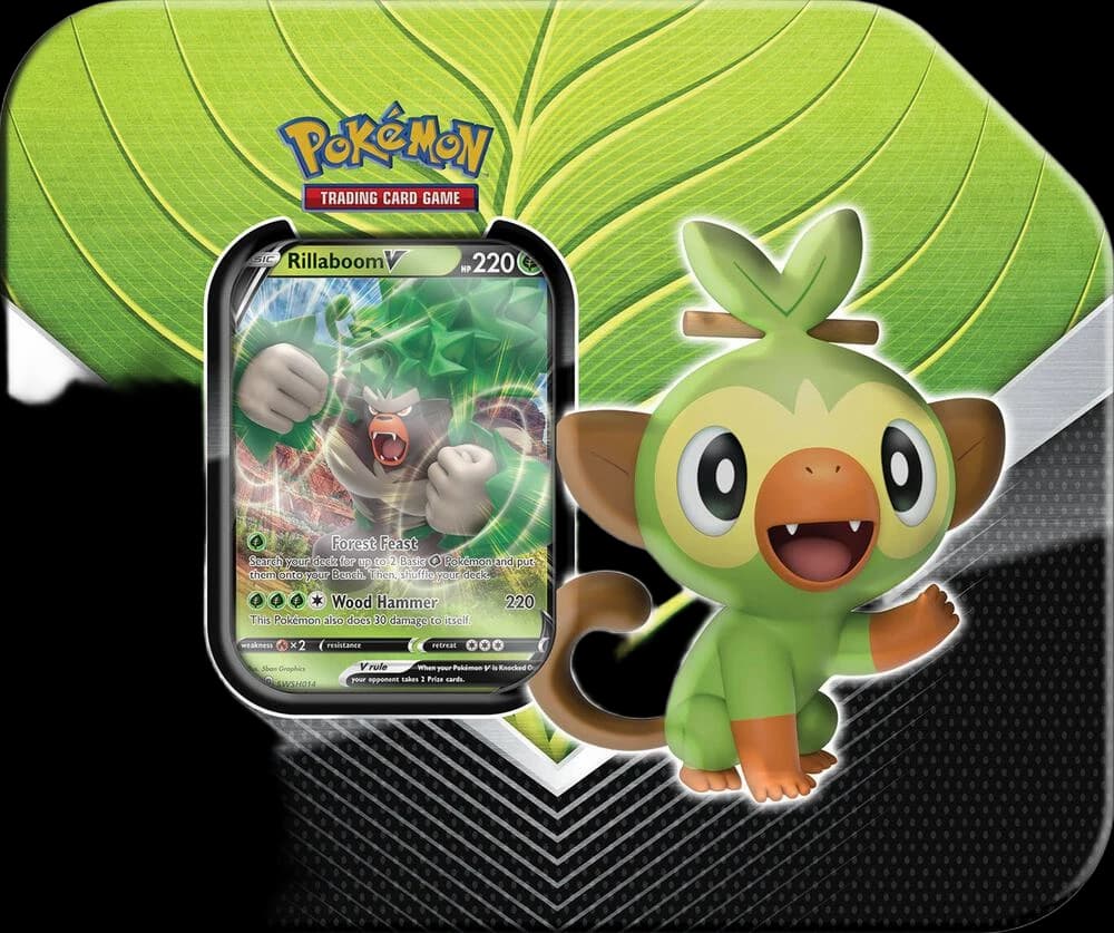 Galar Partners Tin [Rillaboom V]