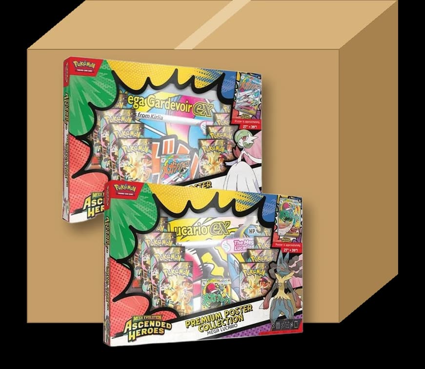 Premium Poster Collection Case